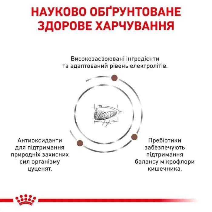 Royal Canin Gastro Intestinal Puppy Сухий корм для цуценят з чутливим травленням 10 кг