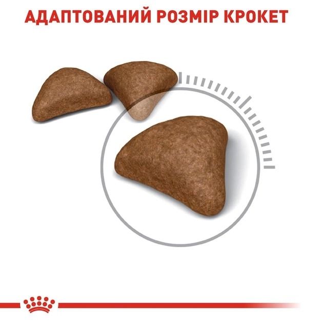 АКЦІЯ Royal Canin Hairball Care сухий корм для виведення грудочок вовни у кішок 8+2 кг 