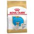 Royal Canin Bulldog French Puppy корм для цуценят породи Французький бульдог 3 кг
