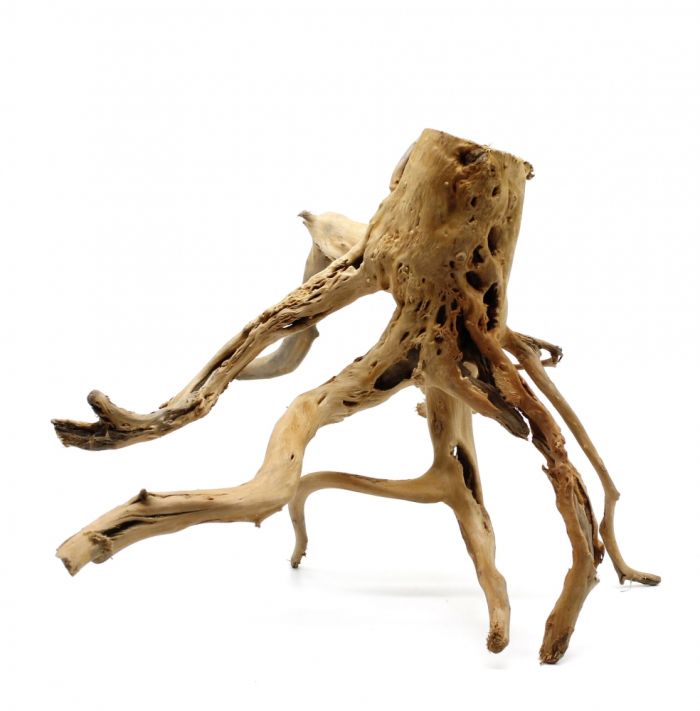 Корінь азалія SМ (400600 г)