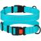 Нашийник для собак BronzeDog Блакитний пластиковий фастекс 1222 50Т 25мм (43-66см)