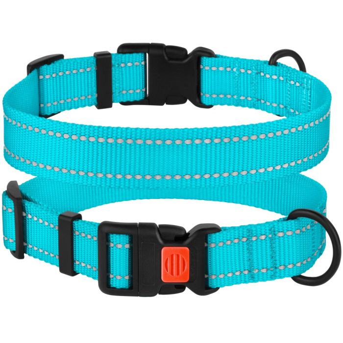 Нашийник для собак BronzeDog Блакитний пластиковий фастекс 1222 50Т 25мм (43-66см)