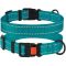 Ошейник для собак BronzeDog бирюза пластиковий фастекс 1225 50Т 25мм (35-53см)