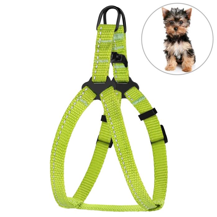 Шлея для собак BronzeDog салатова пластиковий фастекс 1305 68Т 10мм (33-40см)