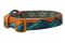 Нашийник для собак Trail quest collar RP signature edition Non-stop dogwear Бірюзовий/Дуб L