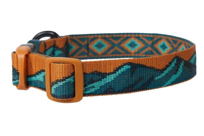 Нашийник для собак Trail quest collar RP signature edition Non-stop dogwear Бірюзовий/Дуб L