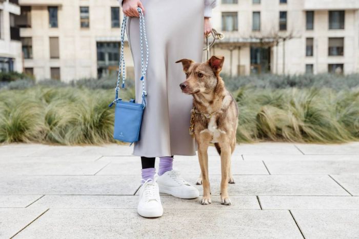 Сумка для ласощів і аксесуарів собак Palopa Karl M Небесно-блакитний