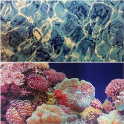 Фон для акваріума двосторонній 40см х 15м 2018 