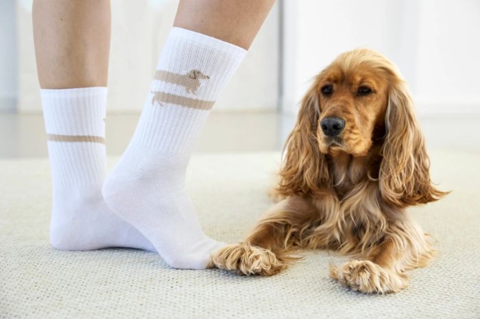 Шкарпетки для власників собак Palopa Tennis Socks Long Badger Dog 40-45