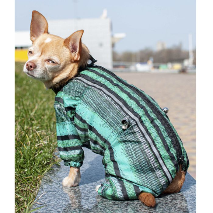 Комбінезон для собак хлопчиків Ківі на тонкій підкладці XXS