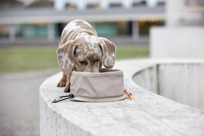 Складна миска для собак Palopa Bowl To Go Tura Сіро-коричневий