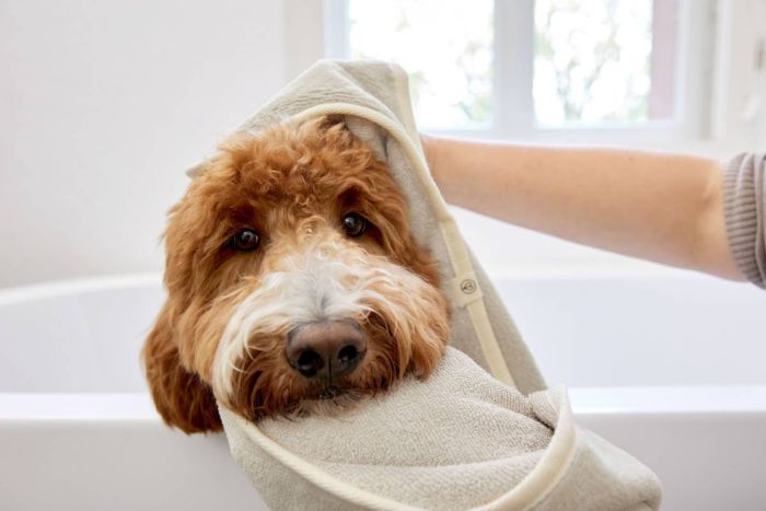 Рушник для собак Palopa Kosy Бежевий S