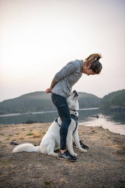 Повсякденна шлейка для собак Ruffwear Front Range® L/XL 81-107 см Сірий