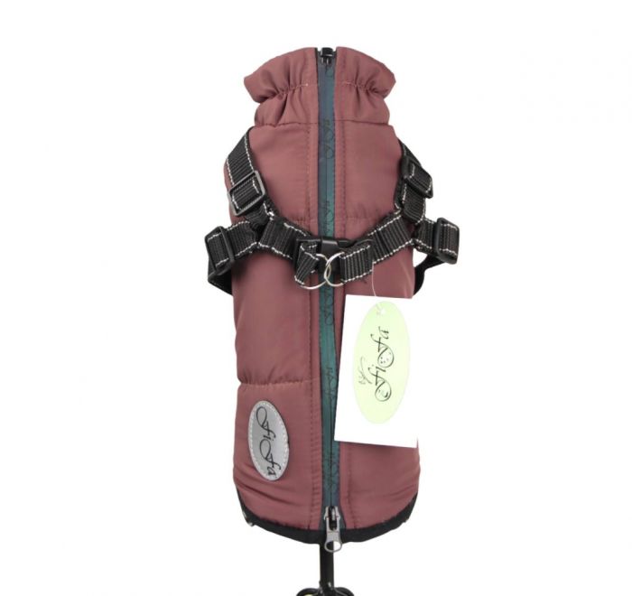 Арктика жилет для собак дівчаток зі шлеєю S1