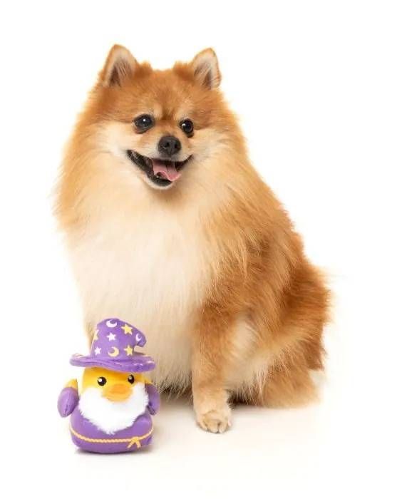 М'яка іграшка для собак FuzzYard Качечка Сіріус Квак L