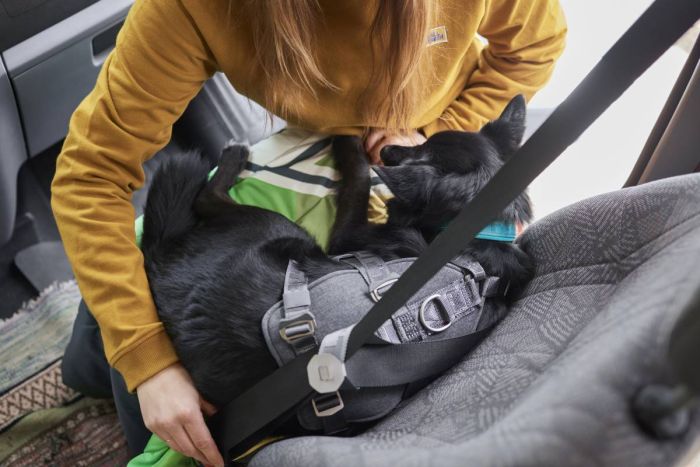 Шлейка для подорожей для собак Hurtta Travel ECO 0-5 кг Сірий