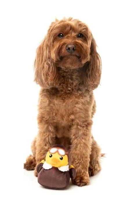 М'яка іграшка для собак FuzzYard Качечка Амелія Квакхарт S