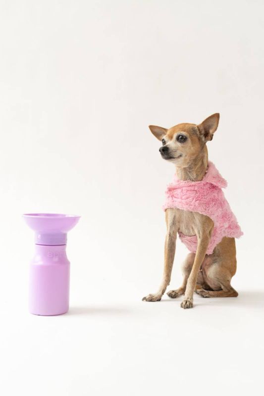 Пляшка-поїлка для собак Springland Ліловий 450 мл