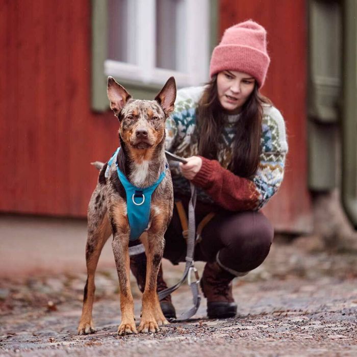 Шлейка для собак Hurtta Safeguard Harness ECO Синій 75-95