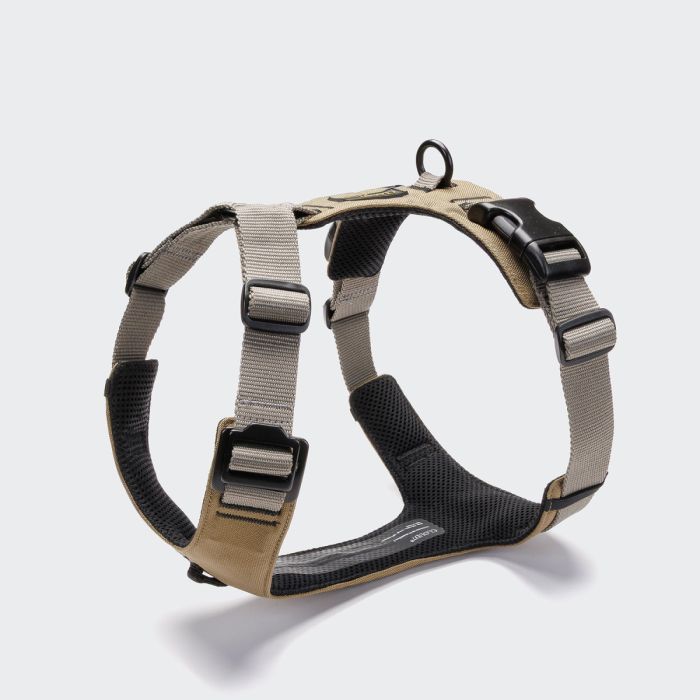 Y-подібна шлейка для собак Cloud7 Y-2 Harness AKTIV Сірий M