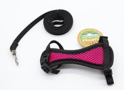 Комплект Franty Ларс сітка для щурів, 16х28 см рожевий