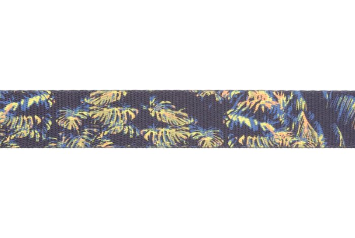 Повсякденний нашийник для собак Ruffwear Front Range™ 51-66 см Синій з зеленим