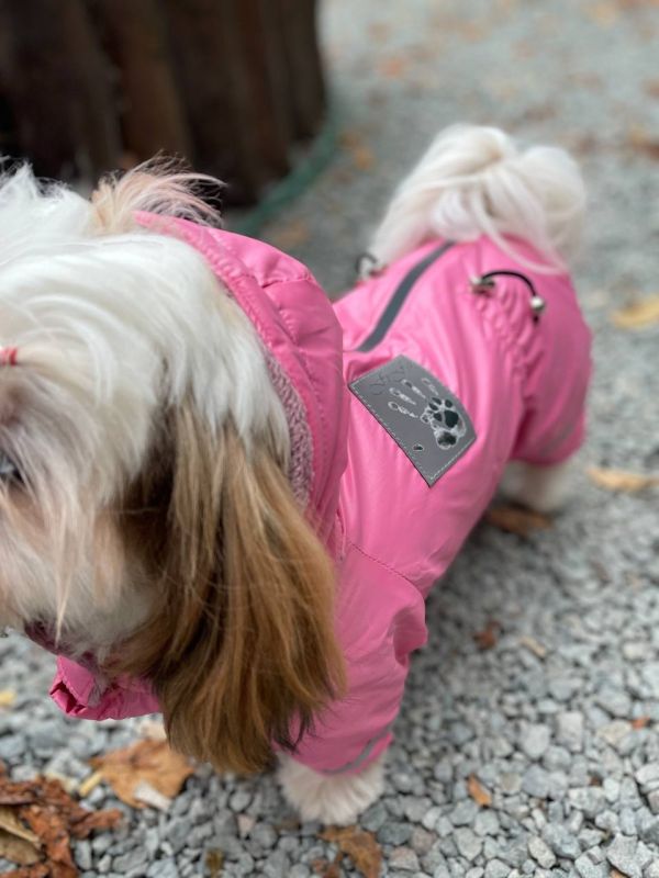 Єдність комбінезон велсофт без силікону для собак дівчаток S3