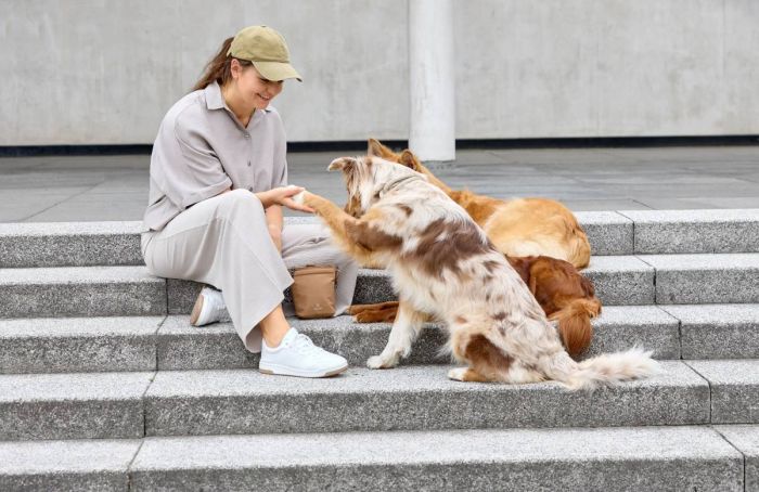 Сумка для ласощів і аксесуарів собак Palopa Karl M Бежевий