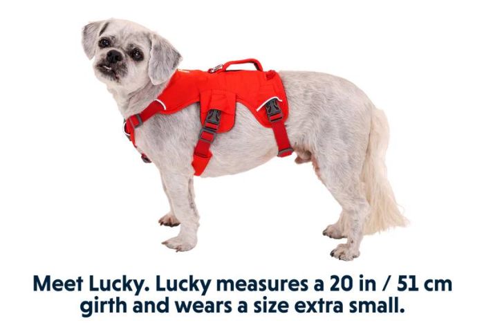 Підтримуюча шлейка для службових собак Ruffwear Web Master™ L/XL 81-107 см Червоний