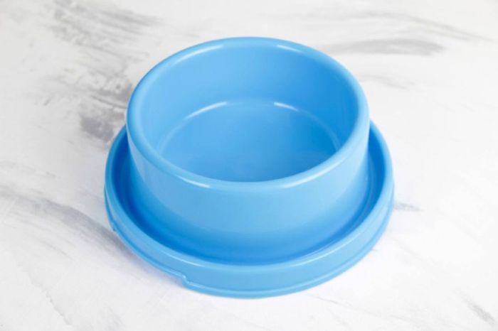 Миска з тарілочкою 350мл 220х220х80 мм SY-A071 