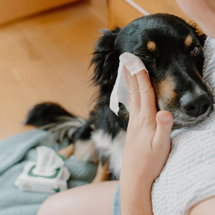 Бамбукові серветки для очищення слізних доріжок собак Beco Pets Dog Eye Wipes 70 шт.