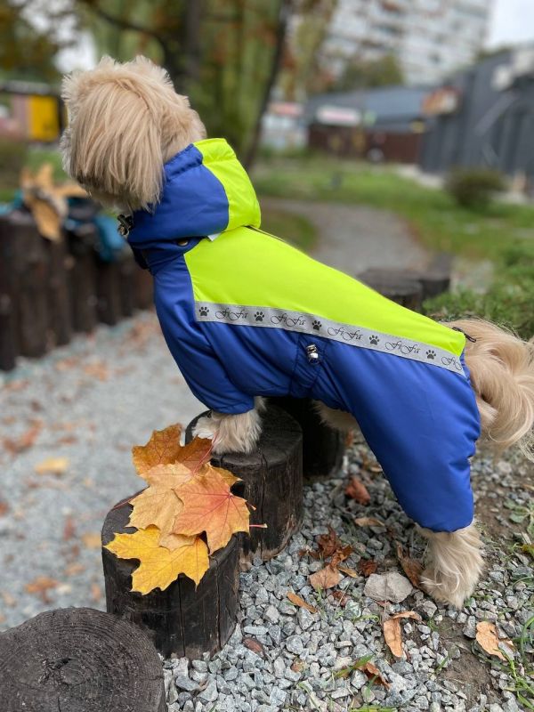 Промінь комбінезон для собак хлопчиків на силіконі S3