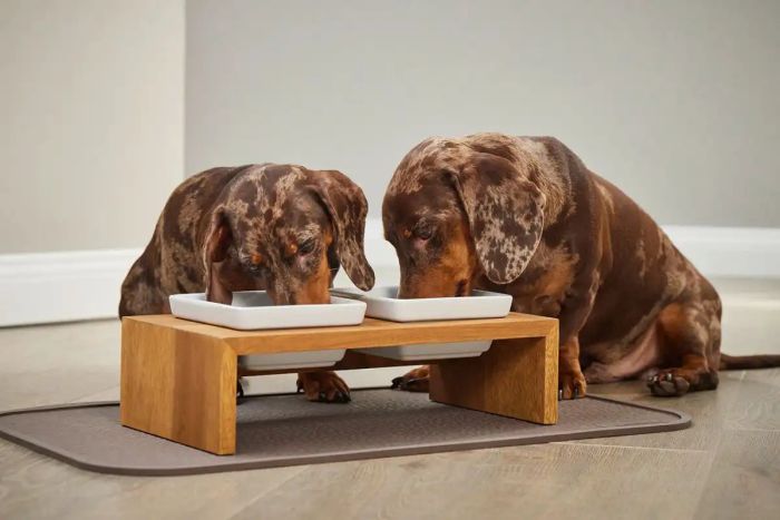 Миски на підставці Wolters Foodstation Meshidai True 2 x 0,2 л XS Коричневий