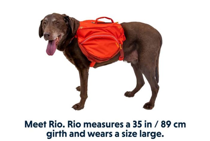 Шлейка-рюкзак для собак Ruffwear Palisades™ L/XL Червоний