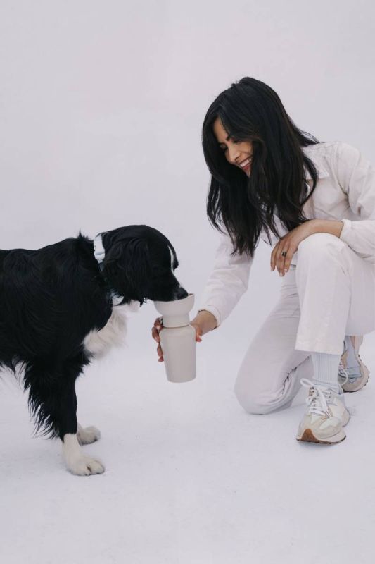 Пляшка-поїлка для собак Springland Бежевий 590 мл