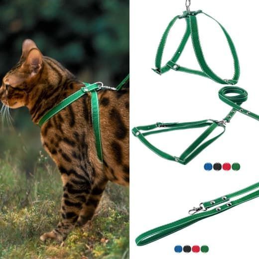 Шлея човник з повідцем капрон 30  30см довжина повідця 130см Чорний