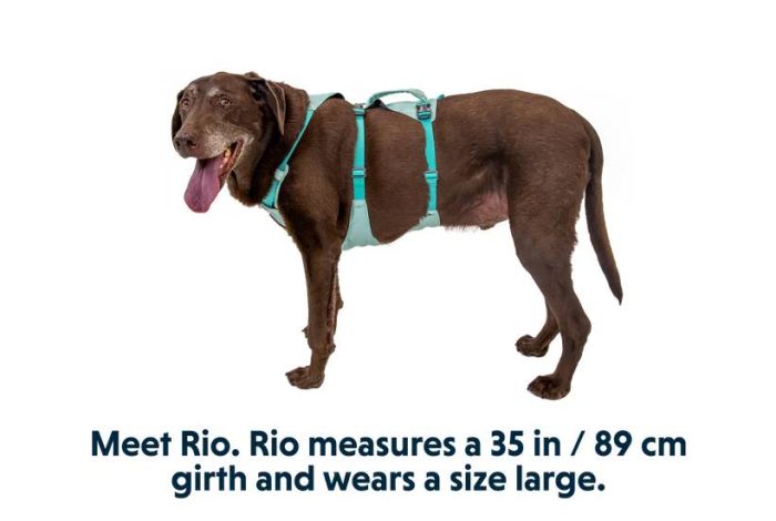 Легка шлейка Ruffwear Flagline™ L/XL 81-107 см Зелений