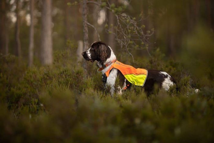 Світловідбивний жилет Protector vest Non-stop dogwear Помаранчевий XL