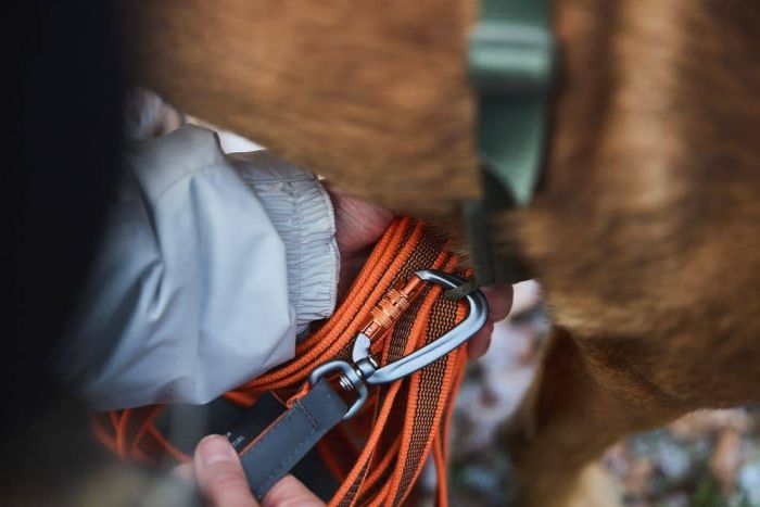 Повідець для собак Friction long line Non-stop dogwear Помаранчевий 10 м