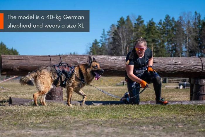 Подовжена шлейка для собак Rock harness long Non-stop dogwear Чорний/Помаранчевий XS