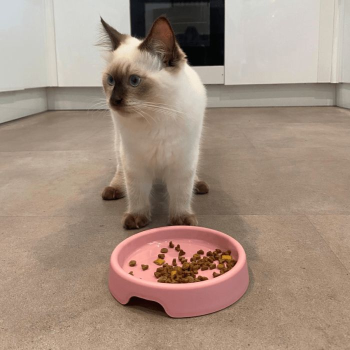 Миска зі 100% переробленого пластику для котів Beco Pets Steady Bowls Рожевий S