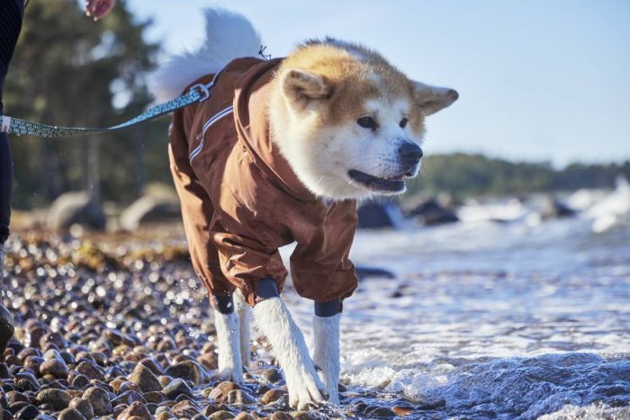 Дощовик комбінезон для собак Hurtta Mudventure Overall ECO 50M Помаранчевий