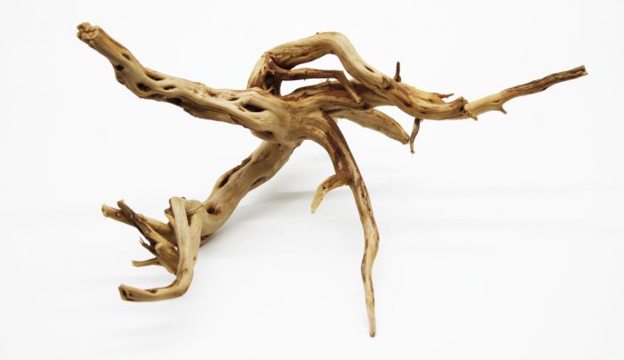 Корінь азалія S (300400 г)