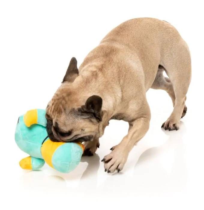 М'яка іграшка для собак FuzzYard Качка-доктор