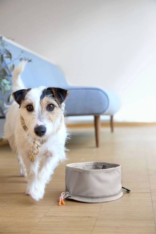 Складна миска для собак Palopa Bowl To Go Tura Сіро-коричневий