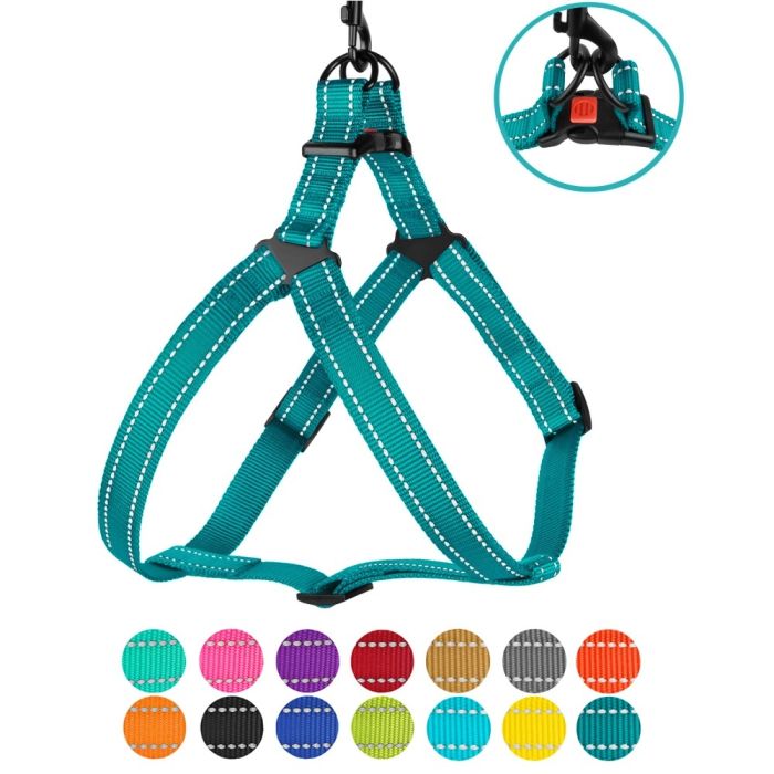 Шлея для собак BronzeDog Бірюза пластиковий фастекс 1225 70Т 20мм (45-56см)