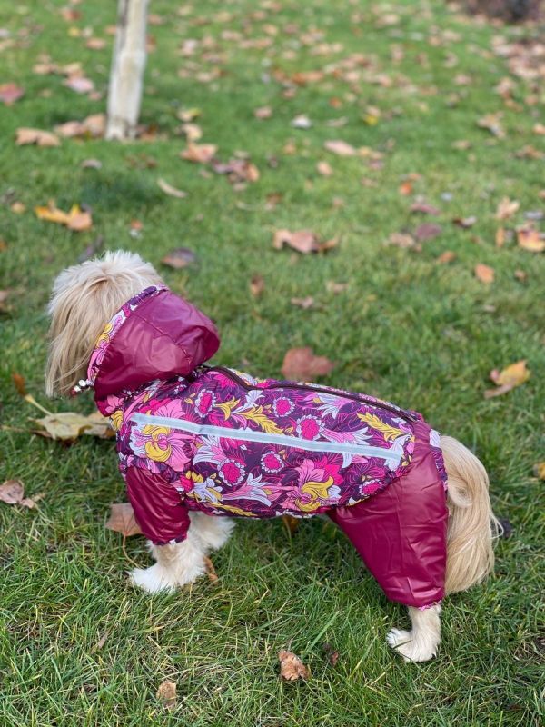 Набір Фрезія жилет силікон + комбінезон велсофт бордо (дівчинка) S