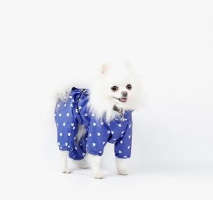 Дощовик Натхнення Для собак, плащівка без підкладки унісекс. M (А34В до 54 см.)