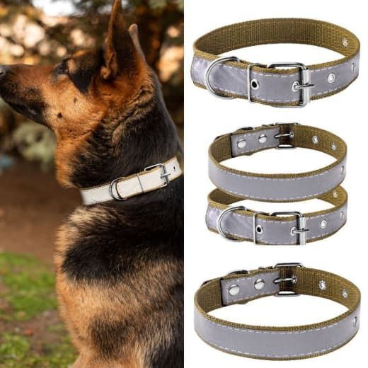 Нашийник брезент одинарний світловідбиваючий 41-61 см