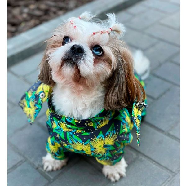 Комбінезон Дейзі силікон (дівчинка) XS